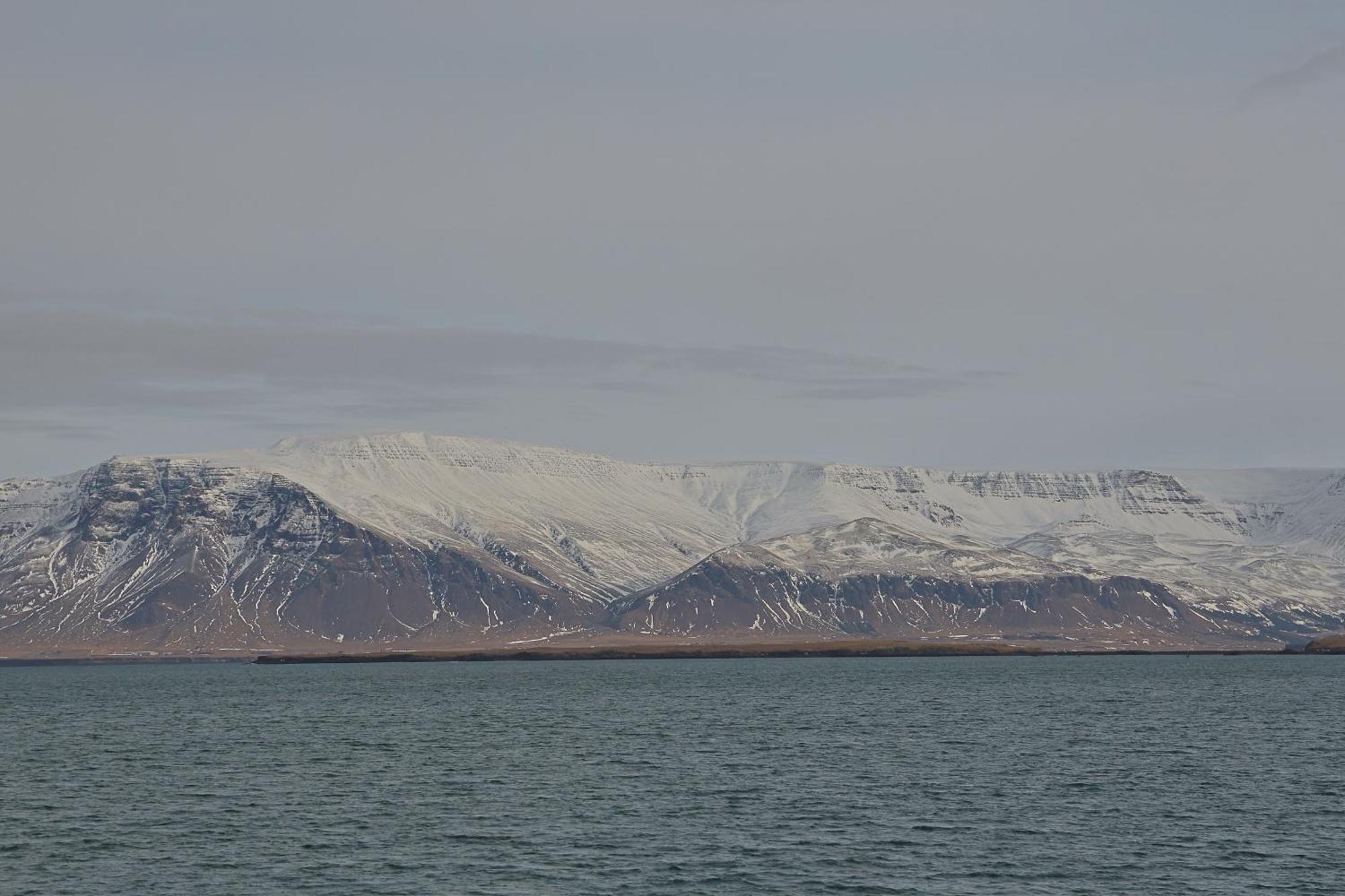 Lagertha'S Apartment,Downtown Reykjavík Buitenkant foto